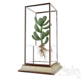 Cactus in a vase on a stand